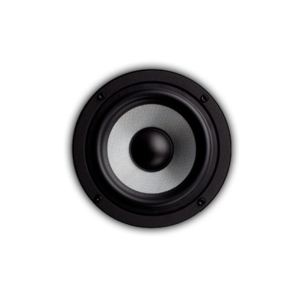 اسپیکر مانیتورینگ EVE Audio SC205