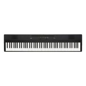 پیانو دیجیتال Korg Liano L1